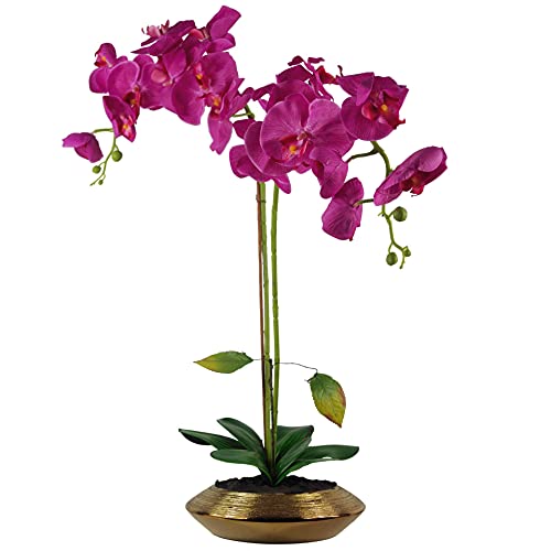 Leaf Design UK Künstliche Orchidee, natürlicher Look von Leaf