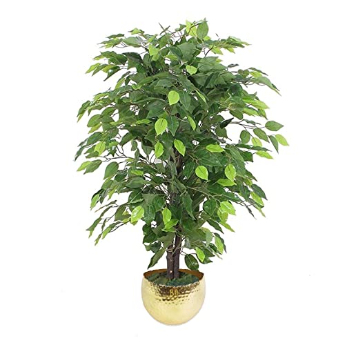 Leaf Design UK Künstliche realistische Topfpflanzen, grün, buschig, Ficus-Gold, 90 cm von Leaf