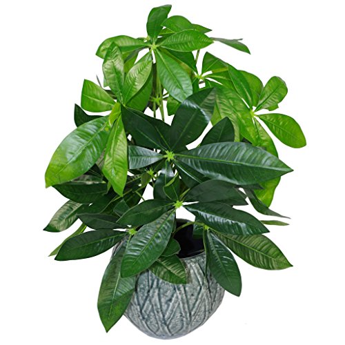 Leaf Design UK Künstlicher Blumentopf aus Kunststoff, 50cm Money Tree Plant, Schwarz, LEAF-7071 von Leaf