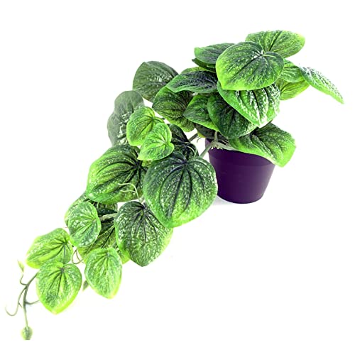 Leaf Design UK Kunstpflanze mit Topf, realistisch von Leaf