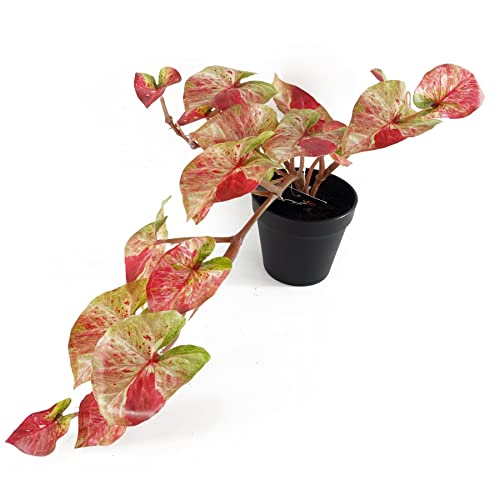 Leaf Design UK Kunstpflanze mit Topf, realistisch von Leaf