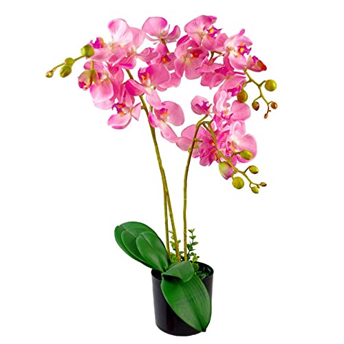 Leaf Design UK Realistische künstliche Orchidee im Topf von Leaf