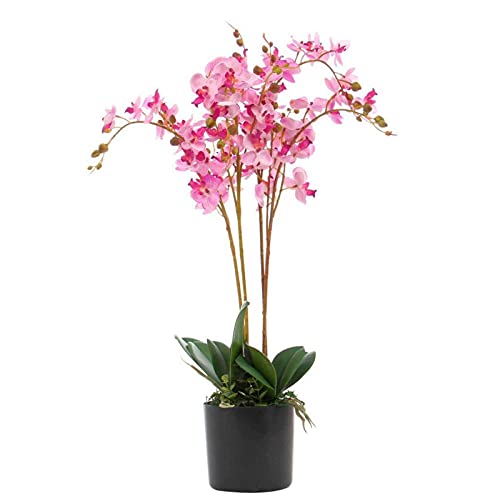 Leaf Design UK Realistische künstliche Orchidee im Topf von Leaf