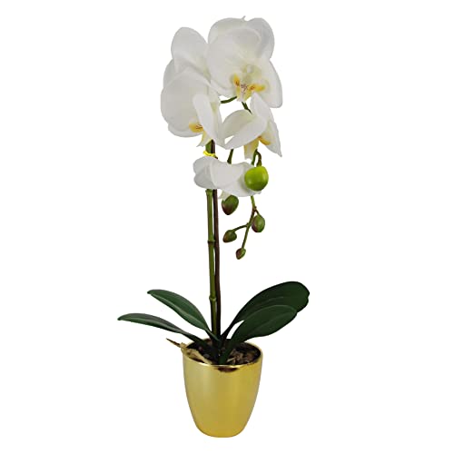 Leaf Design UK Realistische künstliche Orchideen-Blumen-Display im Topf von Leaf
