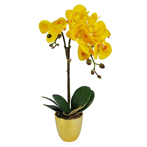 Leaf Design UK Realistische künstliche Orchideen-Blumen-Display im Topf von Leaf
