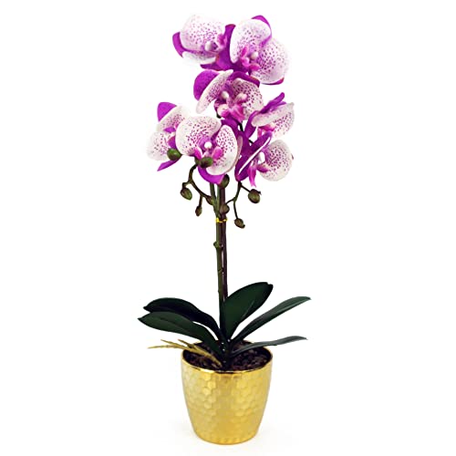Leaf Design UK Realistische künstliche Orchideen-Blumen-Display im Topf von Leaf