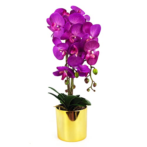 Leaf Design UK Realistische künstliche Orchideen-Blumen-Display im Topf Leaf Design UK Realistische künstliche Orchideen-Blumen-Display im Topf von Leaf