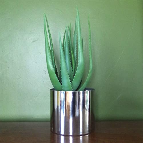 Leaf Design UK Realistische künstliche Blattpflanze, Aloe-Silbertopf, 55 cm von Leaf