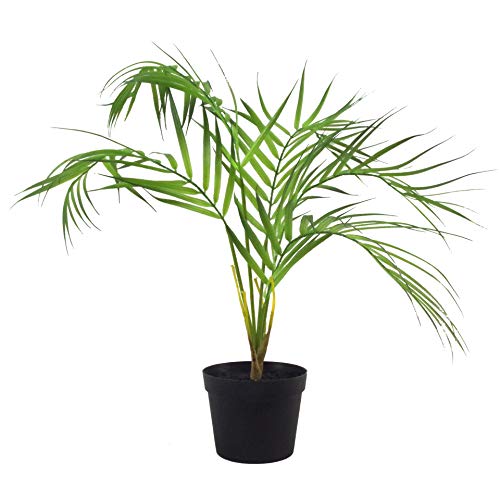 Leaf Bonsai Künstliche Areca-Palme mit Blättern, Naturbelassener Areka, 50 cm, Kunststoff von Leaf