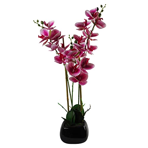Leaf Künstliche Orchidee mit Blättern, 70 cm, Dunkelrosa mit schwarzem Keramik-Pflanzgefäß, gemischte Materialien von Leaf