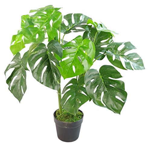 Leaf Künstliche Pflanze mit Blättern, Schwarz, 80 cm Monstera, 80cm LEAF-7151 von Leaf