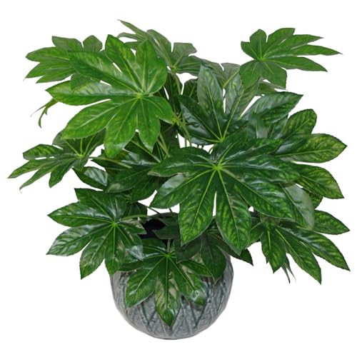 Leaf Künstliche japanische Aralia-Pflanze, 60 cm, Schwarz von Leaf