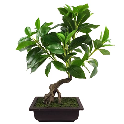 Leaf Künstlicher Baum, gemischte Materialien, Bonsai-Grün, 50 cm von Leaf