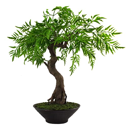 Leaf Künstlicher Baum, gemischte Materialien, Bonsai Twisted Ficus, 45 cm von Leaf