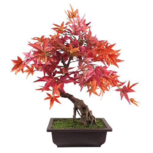 Leaf Künstlicher Baum, gemischte Materialien, roter Bonsai-Ahorn, 50 cm von Leaf