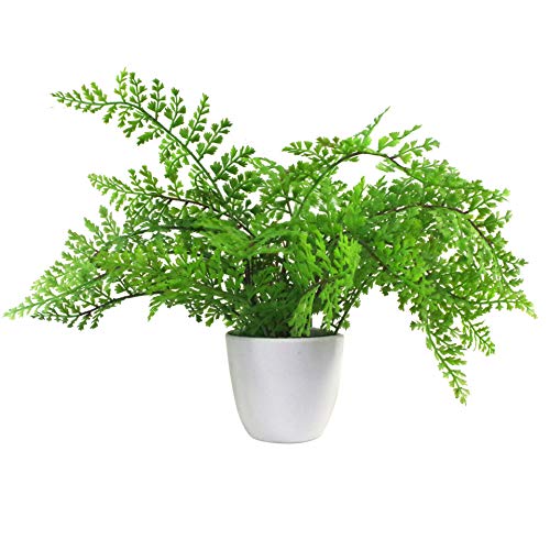 Leaf Mini Künstlicher Farn in Topf, 30 cm, Kunststoff, Royal Fern von Leaf