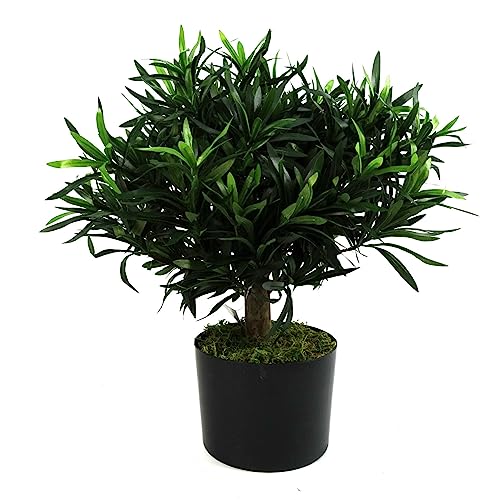 Leaf Künstlicher Kleiner Bonsai-Baum, 40 cm, Podocarpus von Leaf