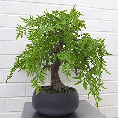 Leaf Künstlicher Kleiner Bonsai-Baum. von Leaf