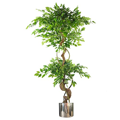 Leaf Künstlicher japanischer Fruticosa-Ficus-Baum, gedreht, groß, silberfarben, 150 cm von Leaf