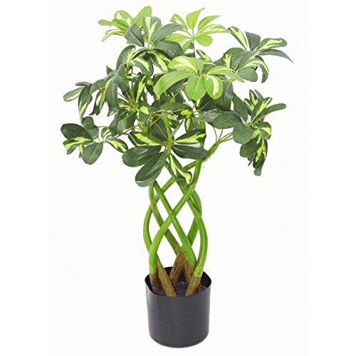Leaf Kunstpflanze, 70 cm, Bonsai Twist LEAF-7002, 70cm Bonsai Twist, 70cm Bonsai Twist von Leaf