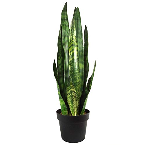 Leaf Kunstpflanze, Blätter, 70 cm, Kunststoff, Zeylanica Sansevieria von Leaf