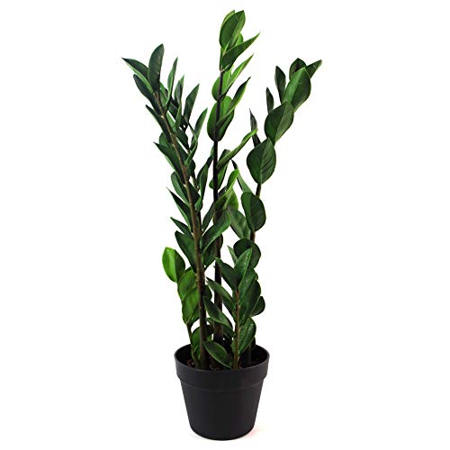 Leaf Large Foliage Plant Design UK Kunstpflanze mit Topf, realistisch, Plastik, Zanzibar Gem, 75 cm von Leaf