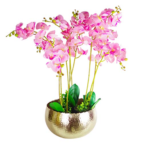 Leaf Orchideen-Display mit XL Metallschale, 70 x 70 cm, 70 x 70 cm von Leaf