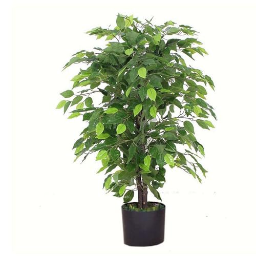 Leaf Realistischer künstlicher Ficusbaum/Pflanze, 90 cm, Busch-Ficus, AZ-FICUS Leaf Realistischer künstlicher Ficusbaum/Pflanze, 90 cm, Busch-Ficus, AZ-FICUS von Leaf