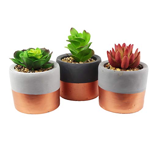 Leaf Set mit 3 Keramik-Pflanzgefäßen mit künstlichen, 3 x Mini-Kupferbandpflanzen, 14 cm von Leaf