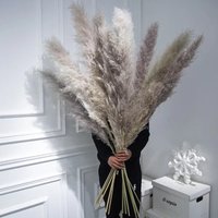 Fluffiges Pampasgras Groß Grau Natürlich | 100cm Länge Ab 3 Stück Xxl I Wohndeko Trockenblumen Geschenkidee von LeafandbloombyFaye