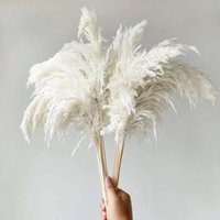 Pampasgras Deko Weiß | Ab 10 Stück 50 - 55cm Trockenblumen Xxl Flauschig & Fluffig von LeafandbloombyFaye