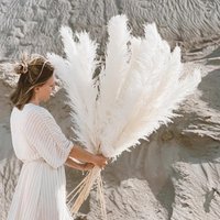 Pampasgras Weiss Natur Hochwertig Und Flauschig | 100cm Länge Ab 3 Stiele Xxl Trockenblumen Wohndeko I Geschenkidee von LeafandbloombyFaye