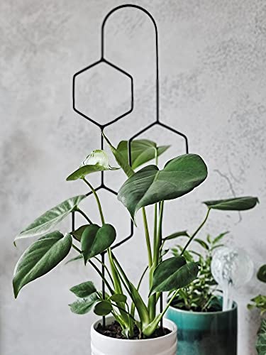 LEAFLO Hexa Line Rankhilfe für Zimmerpflanzen 58 cm | Metall - Pflanzenstütze - Rankgitter - Blumengitter | Innenraum Dekoration | Für Pflanzenliebhaber von Leaflo