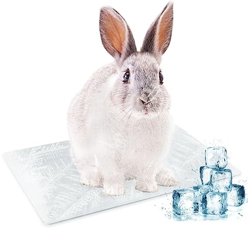 LeapBeast Kühlmatte für Haustiere, Kühlplatte aus Aluminiumlegierung, Sommer-Eisbett zum Kühlen von Haustieren für Meerschweinchen, Hamster, Kaninchen usw (XL-38 * 26CM/1Pcs) von LeapBeast