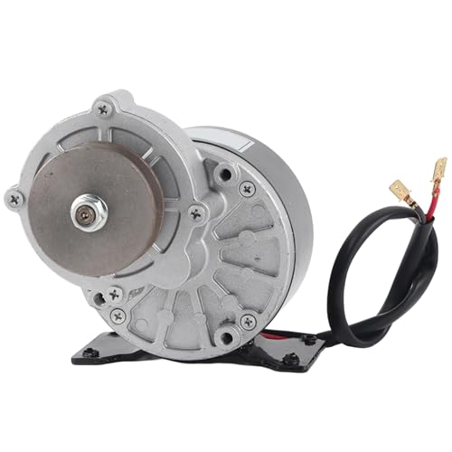 Leapiture 12 V 250W Riemenscheibenmotor Elektromotor Antriebs Antriebsantrieb Motormotor -Riemenscheibe für Förderbandsysteme von Leapiture