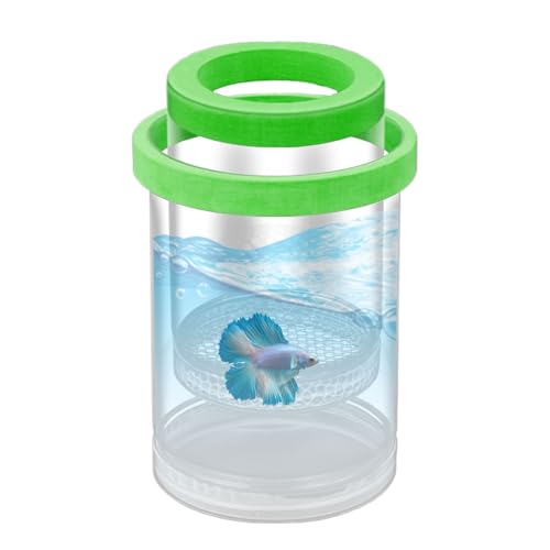 Aquarium-Laichkammer – transparenter Frittierkinderbehälter, Betta Guppy Fry Isolationseinheit, Livebearer Tank Separator, Wasseraufzucht Hatchery Gadget | Kleines Haustier-Kindergarten für Fischzucht Aquarium-Laichkammer – transparenter Frittierkinderbehälter, Betta Guppy Fry Isolationseinheit, Livebearer Tank Separator, Wasseraufzucht Hatchery Gadget | Kleines Haustier-Kindergarten für Fischzucht von LearnLyrics