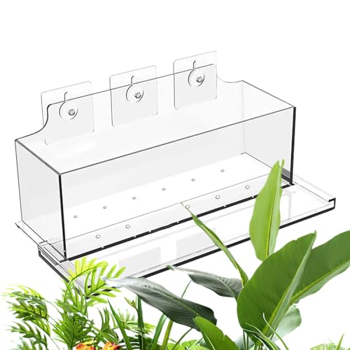 Blumenkasten Fenster - Pflanzkübel Dekovase Blumenvase Transparent | Pflanzkübel Acryl Transparent Ohne Bohren Pflanzkübel Pflanzkübel für Fenster Blumentopf mit Drainageöffnungen von LearnLyrics