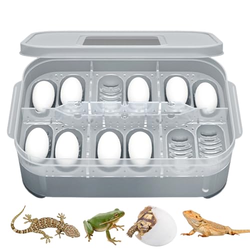 Eierbrutkasten für 12 helle Eier, Reptilien-Broot Board | 12 Brutboxen Gecko Grid | Reptilei-ei-Einkubator für die Zucht von Reptilien, Inkubator, Tablett für Löwen von LearnLyrics