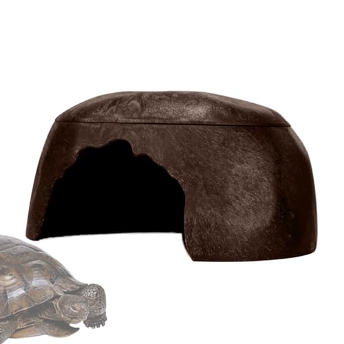 Gecko – Frösche Unterschlupf – kleines Eidechsenversteck Befeuchtung Lebensraum mit 3 Waschbecken für Gecko, Bartagame, Schlange, Schildkröte, von LearnLyrics