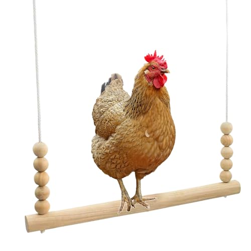 Hühnerschaukel mit Leiter – Hühner-, Hahn- und Geflügelspielzeug, Papageienschaukel | Robustes Hängeseil mit Metallverschluss, Vogeltraining und Langeweilelinderung im Hühnerstall mit robuster, langle von LearnLyrics