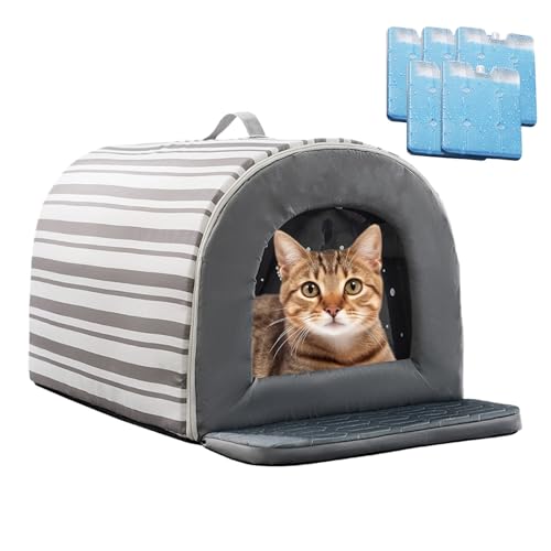 Isoliertes, kühlendes Katzenhaus – Wasserdichtes, komfortables Haustierzelt | Rutschfestes Sommerhaus mit Kühlbox für Wohnung, Innen- und Außenbereich, Welpen, Outdoor, Abenteuer, Camping, Garten, Ter Isoliertes, kühlendes Katzenhaus – Wasserdichtes, komfortables Haustierzelt | Rutschfestes Sommerhaus mit Kühlbox für Wohnung, Innen- und Außenbereich, Welpen, Outdoor, Abenteuer, Camping, Garten, Ter von LearnLyrics