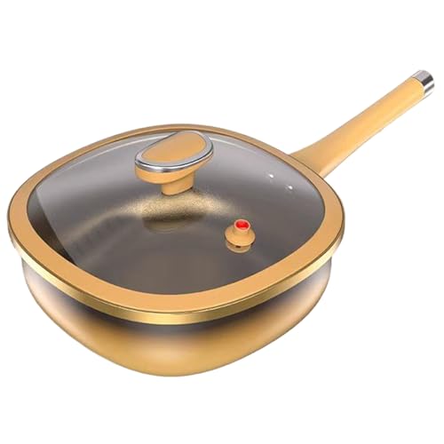 LearnLyrics Nicht -STICK -Frittierofen | Nicht kleber Brandofen mit Deckung | Verstärkte Legierungspanne für Induktion Kochen Röhen Grillküchen Camping Restaurant von LearnLyrics