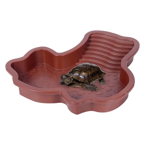 Schildkrötenbecken – Wasserbecken für Reptilien im Freien, flaches Kunststoffbecken | Lebensraum-Anreicherungsdesign, Haustier-Thema auf dem Hinterhof, Ragg-resistente Schale Schildkrötenbecken – Wasserbecken für Reptilien im Freien, flaches Kunststoffbecken | Lebensraum-Anreicherungsdesign, Haustier-Thema auf dem Hinterhof, Ragg-resistente Schale von LearnLyrics