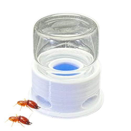Transparenter Spender für Ameisen | Wasserbrunnen für Bienen, Tränke, transparent, wasserdicht, für Zucht, Grillen und Haus Transparenter Spender für Ameisen | Wasserbrunnen für Bienen, Tränke, transparent, wasserdicht, für Zucht, Grillen und Haus von LearnLyrics