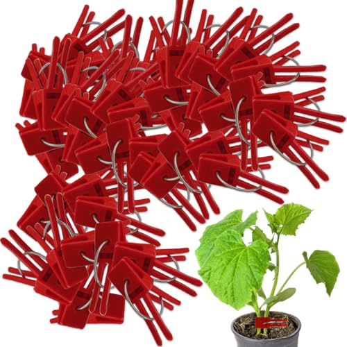 Veredelungsclips - Pflanzen-Veredelungsclips für Bäume und Pflanzen | Langlebige Veredelungsclips für Obstbäume, Rosen, Bonsai, Gartenpflanzen | Einfach zu bedienendes Pflanzen-Veredelungswerkzeug für von LearnLyrics