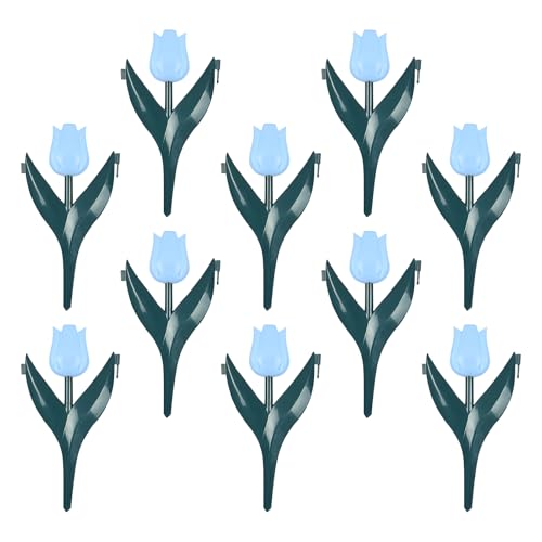 für Blumenbeet – 10 Stück Gartenzaun – Pflanzenanbau für Garten, Außenbereich, Gemüsegarten, Tiergehege für Blumenbeet – 10 Stück Gartenzaun – Pflanzenanbau für Garten, Außenbereich, Gemüsegarten, Tiergehege von LearnLyrics