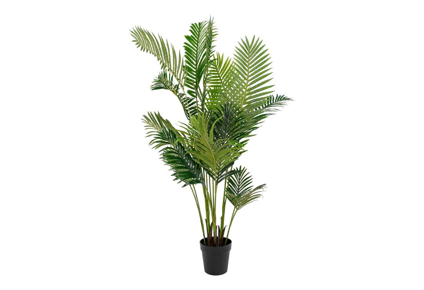 LebensWohnArt Pflanzschale Künstliche ARECA Palme ca.175 cm von LebensWohnArt