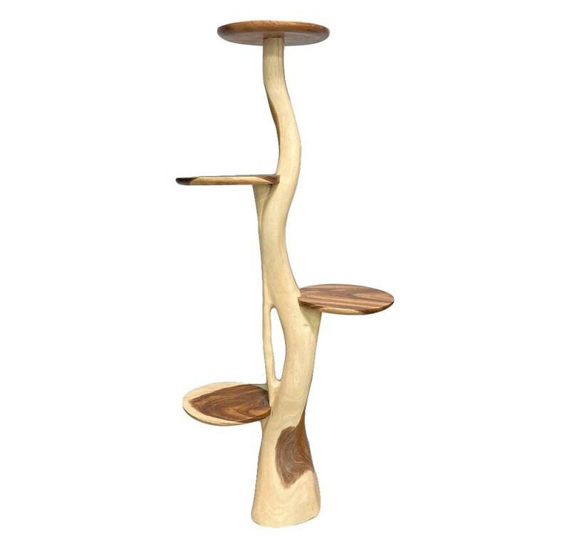 LebensWohnArt Regal Deko Baum KAKTUS mit Ablagen ca. H200cm Suar von LebensWohnArt