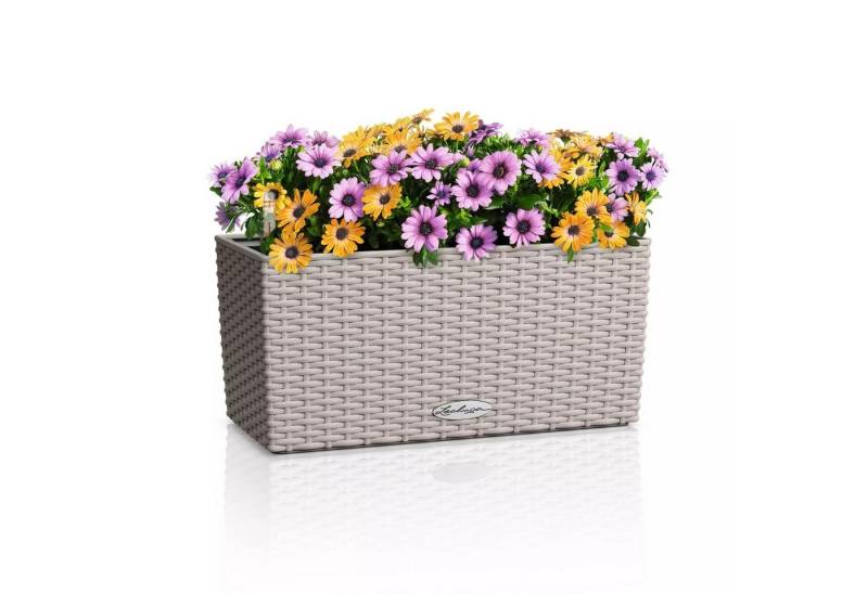 Lechuza® Balkonkasten Balconera Cottage 40 sandbraun von Lechuza®