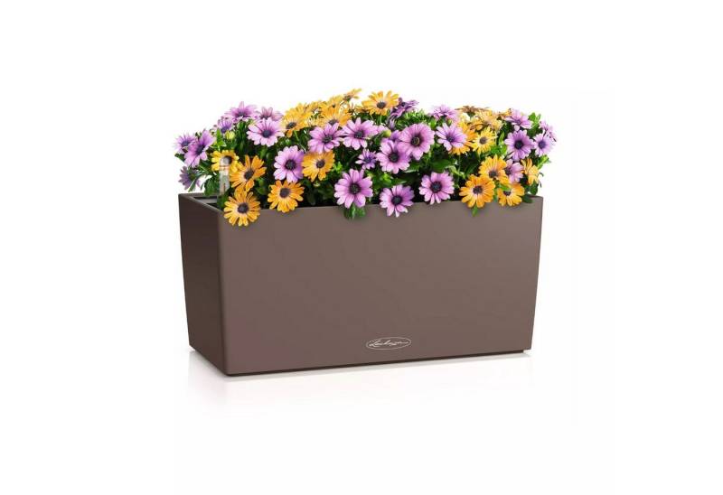 Lechuza® Balkonkasten Balkonkasten Balconera Color 40 muskat von Lechuza®